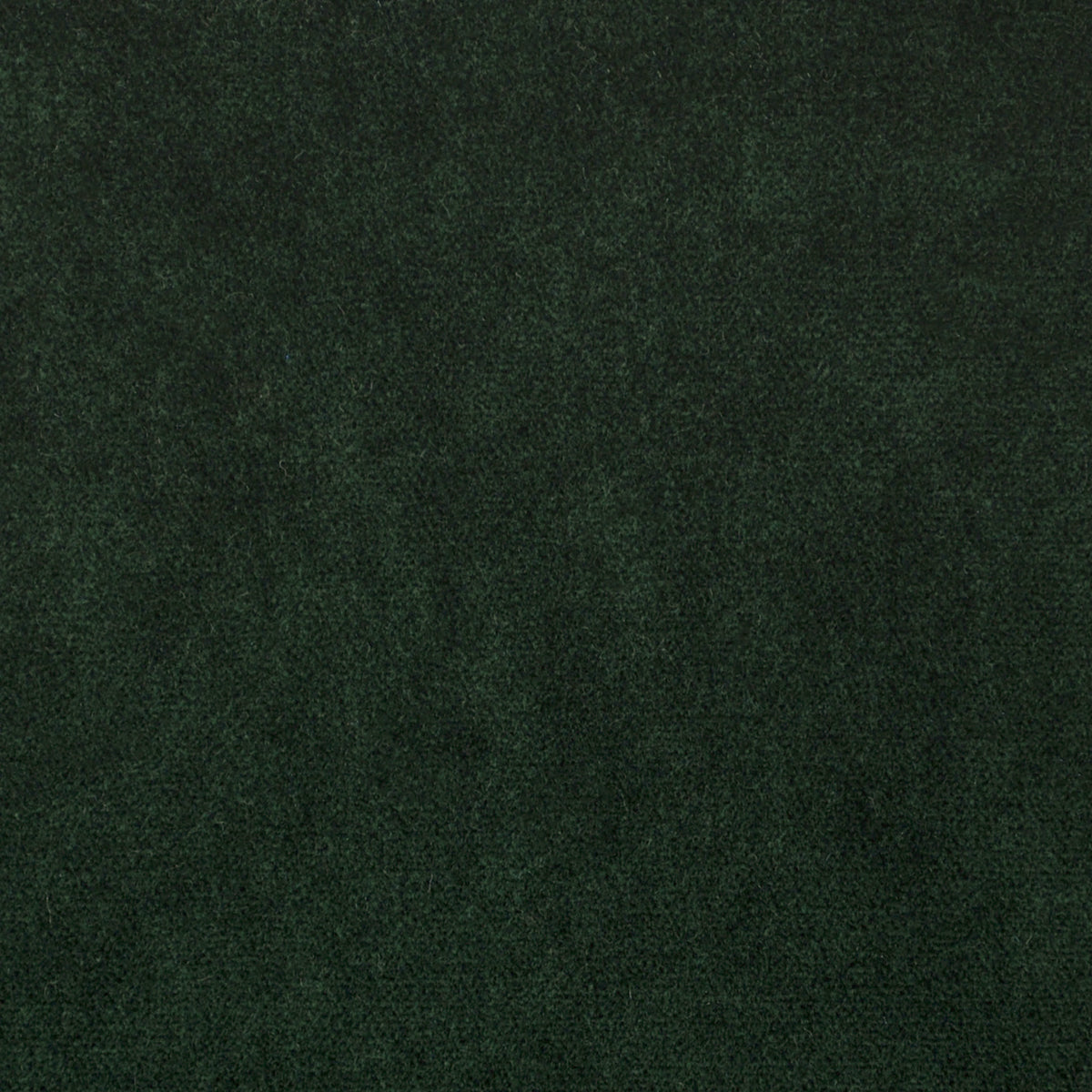 Greenhouse S1060 Fabric | Atlanta Fabrics