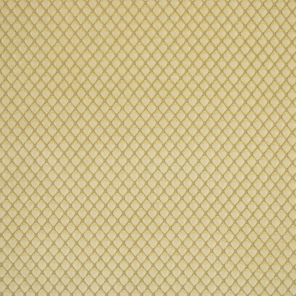 Greenhouse S2536 Fabric | Atlanta Fabrics