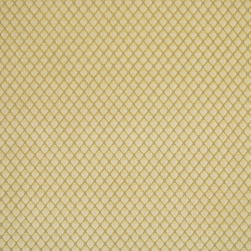 Greenhouse S2536 Fabric | Atlanta Fabrics