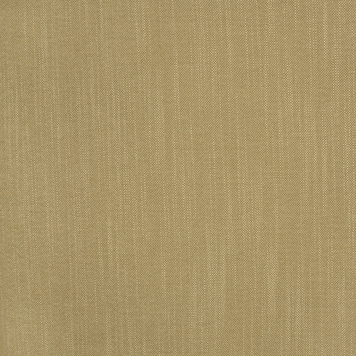 S2796 Oatmeal