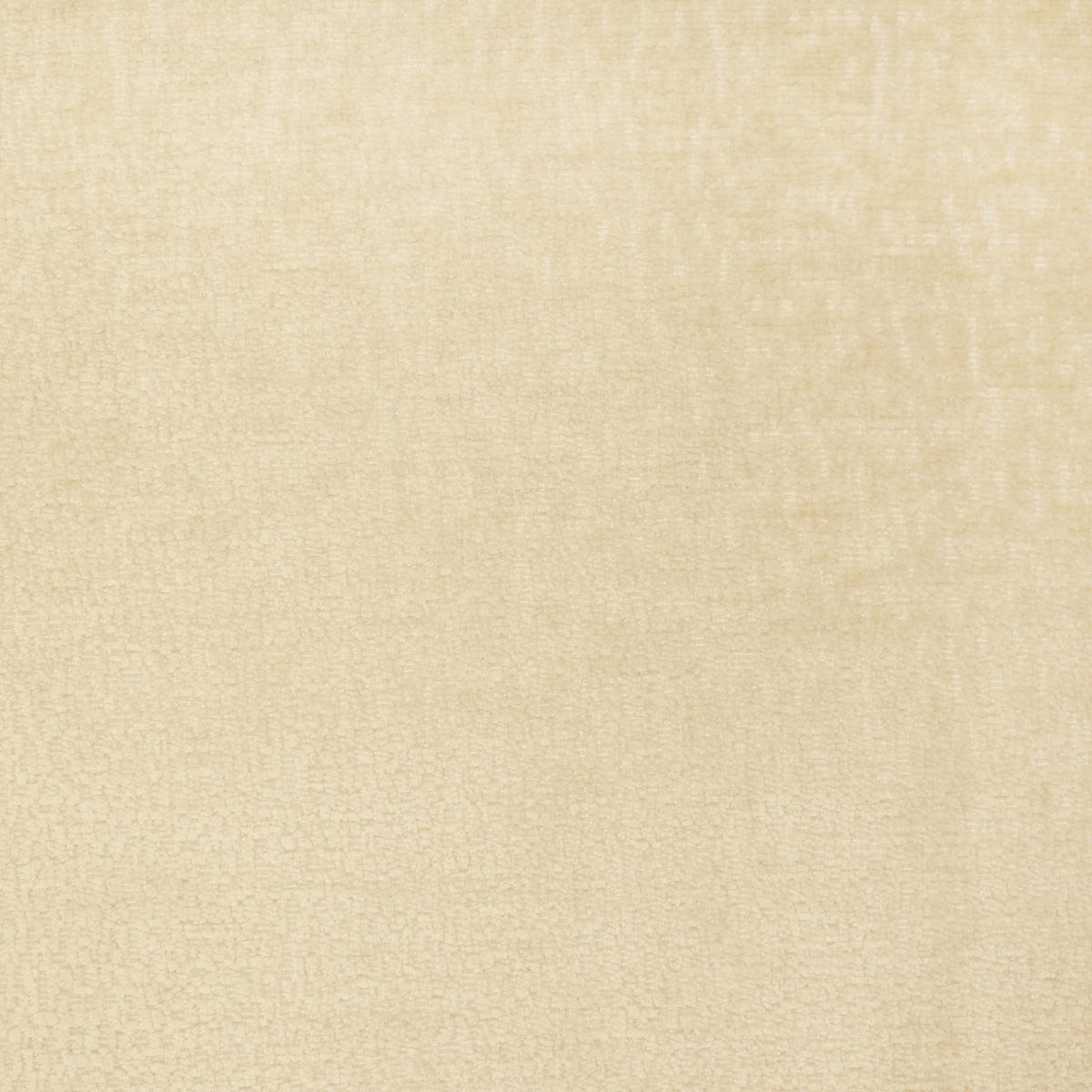 S2805 Custard Discontinued Pattern