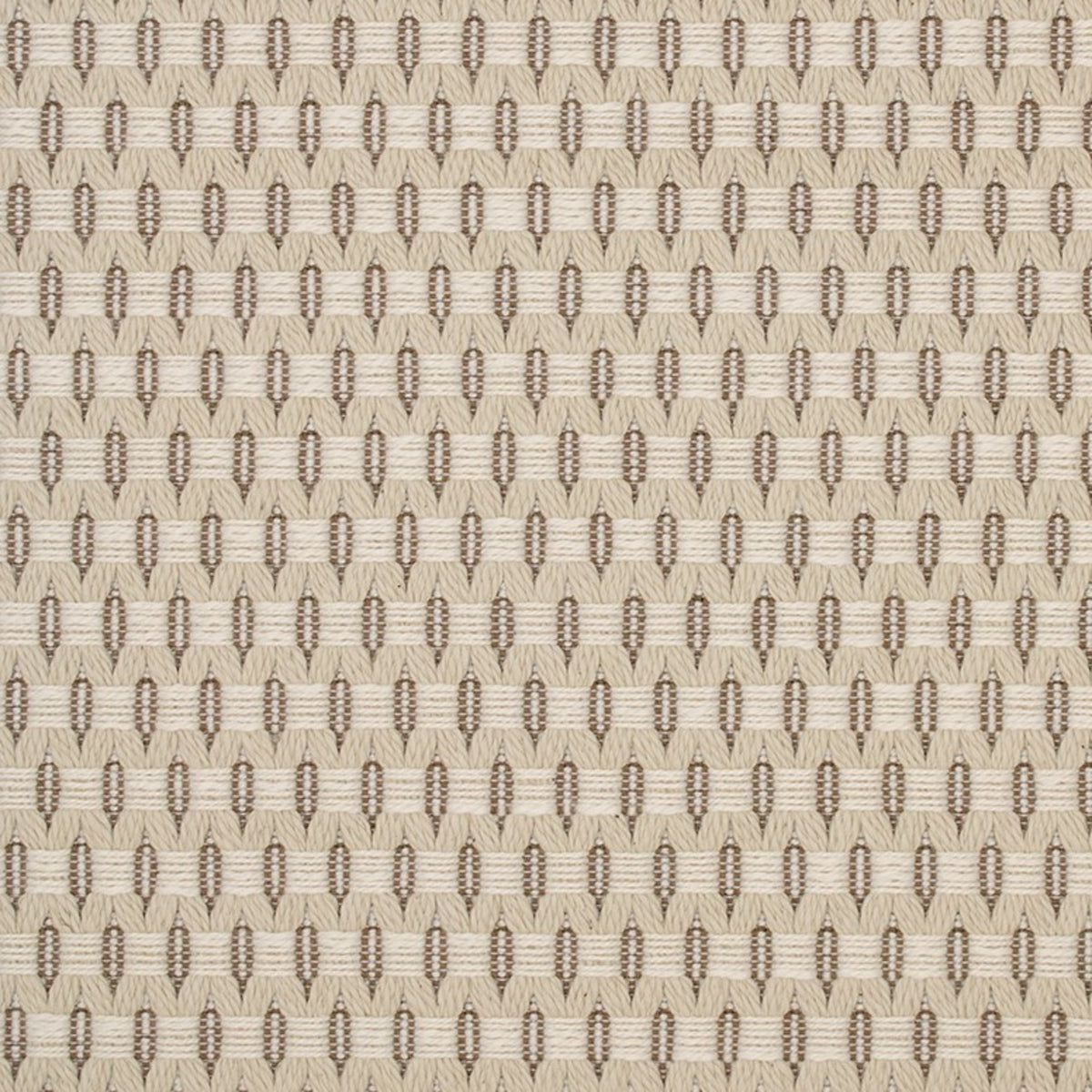 Greenhouse S5563  | Atlanta Fabrics