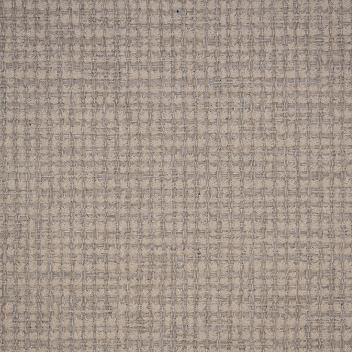 Greenhouse S5569  | Atlanta Fabrics