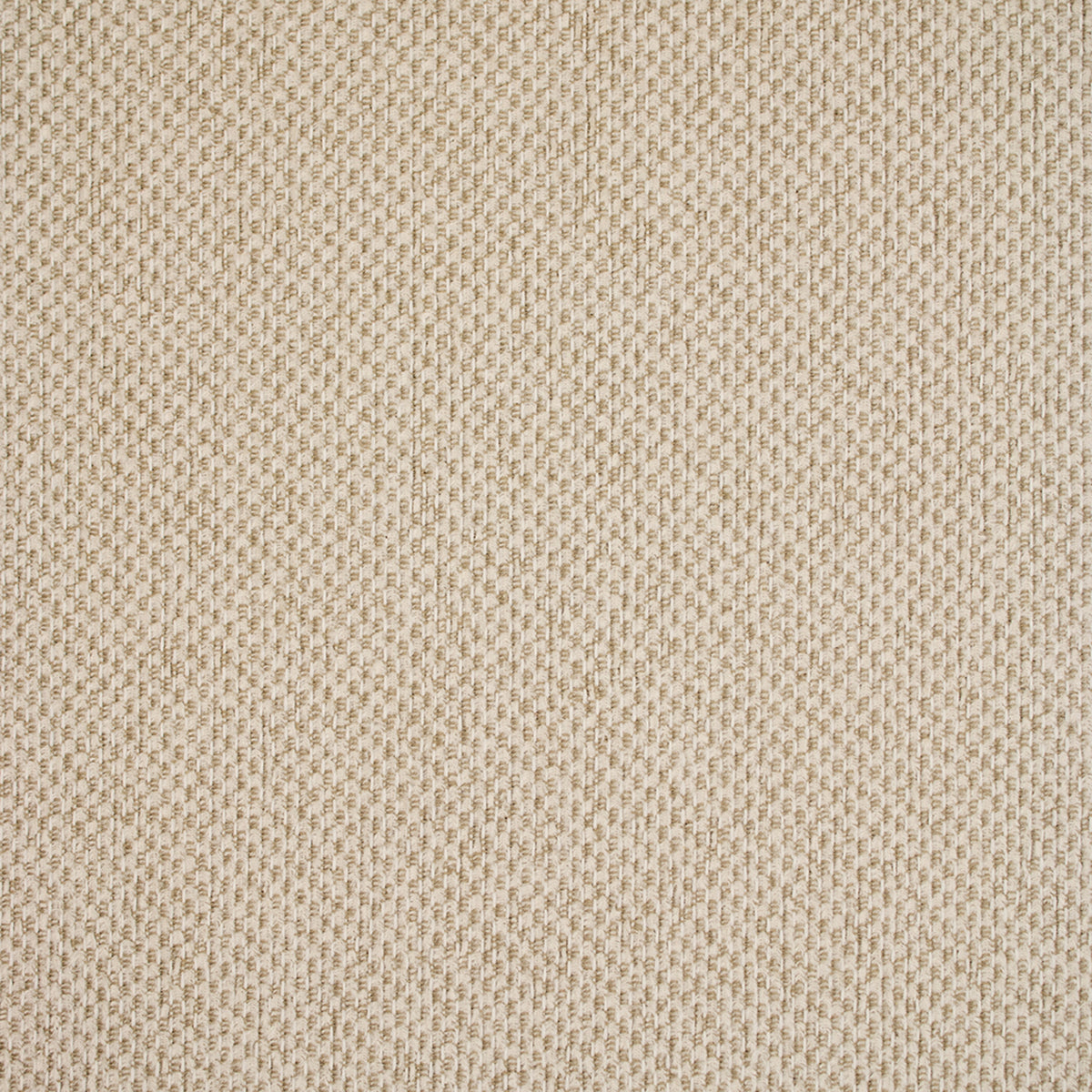 Greenhouse S5583  | Atlanta Fabrics