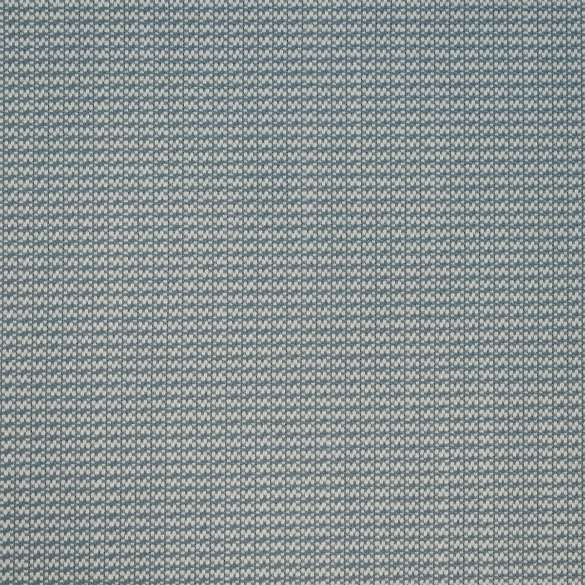 S5619