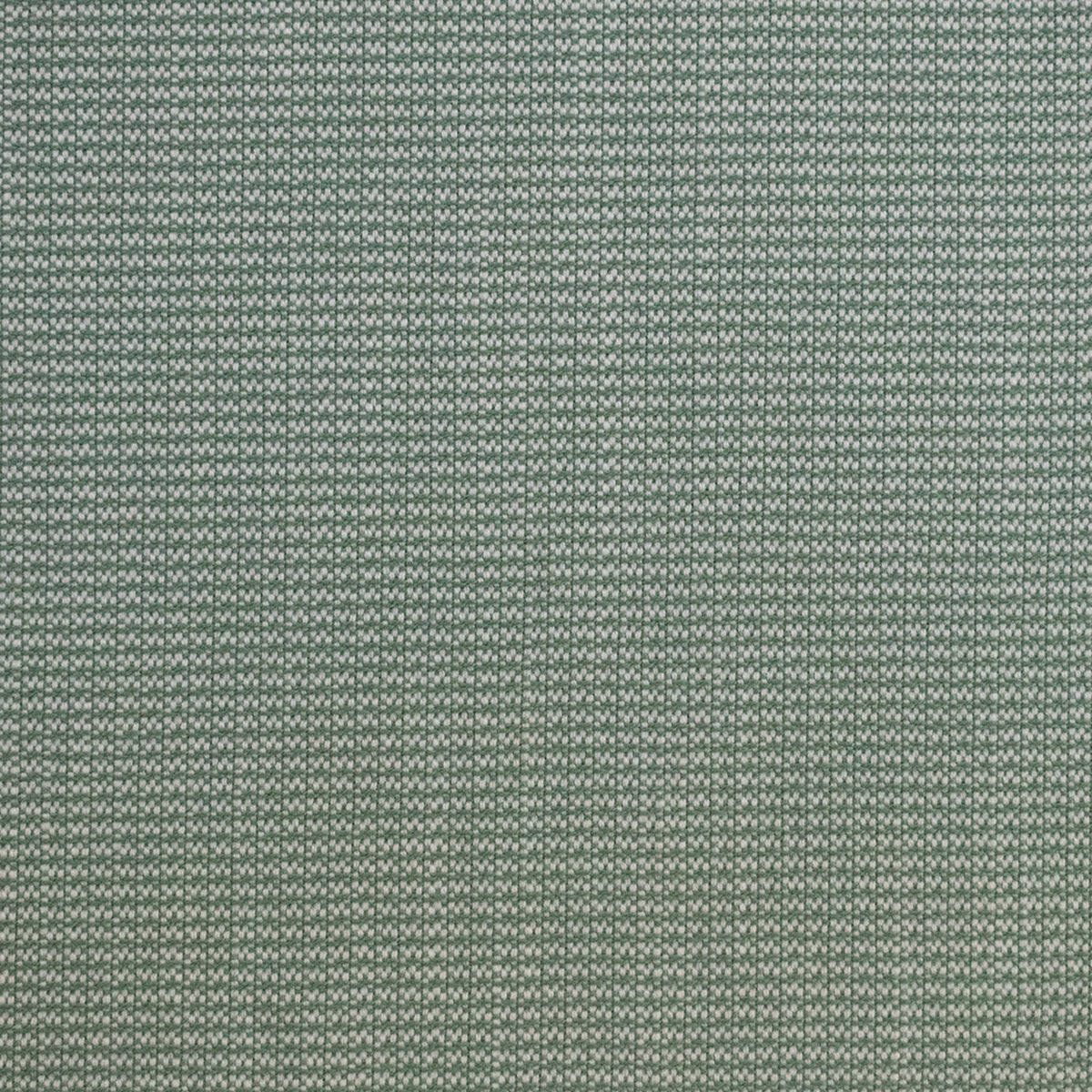 Greenhouse S5689 Fabric | Atlanta Fabrics