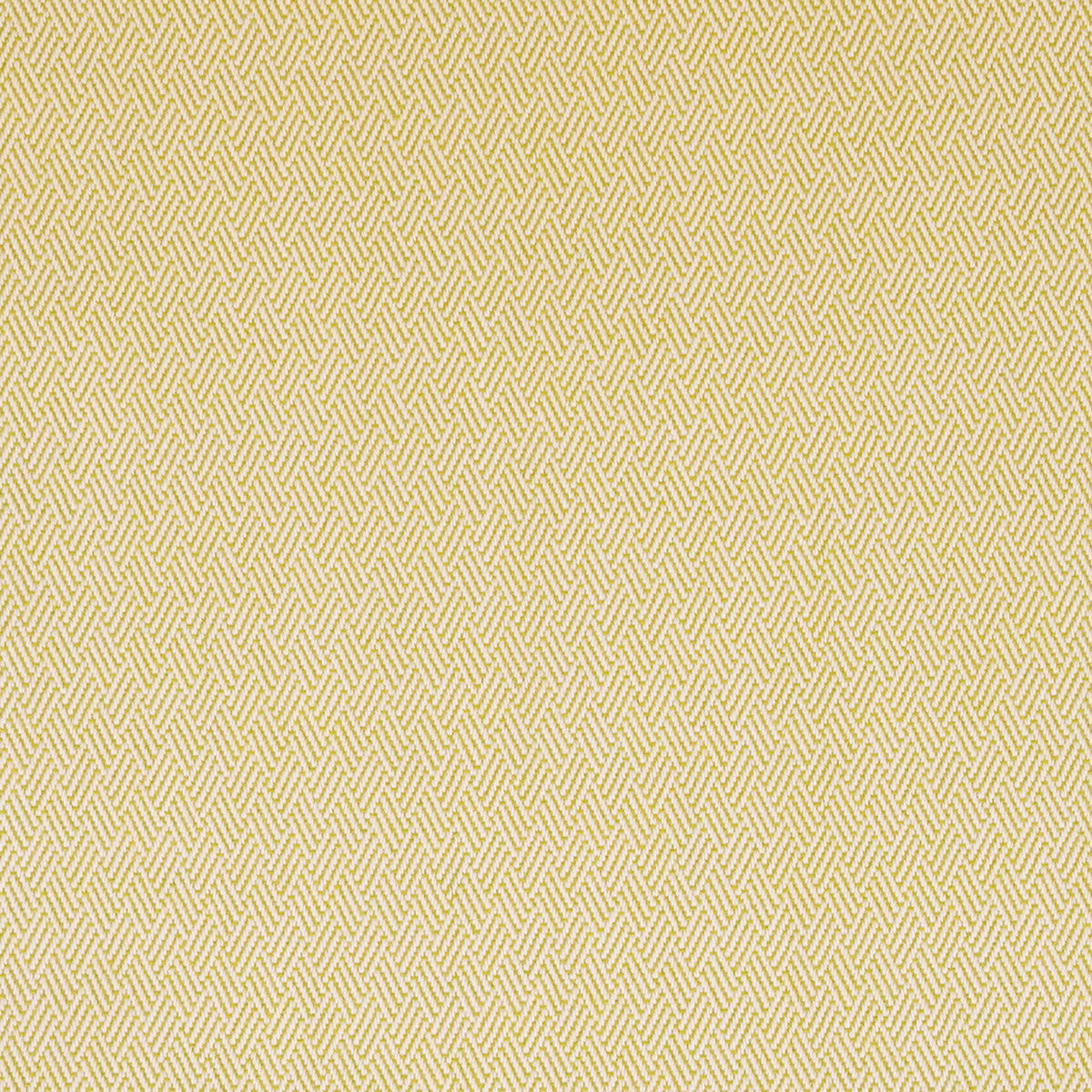 Greenhouse S6293 Fabric | Atlanta Fabrics