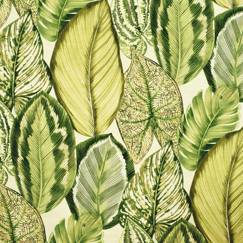 Greenhouse S6415 Fabric | Atlanta Fabrics
