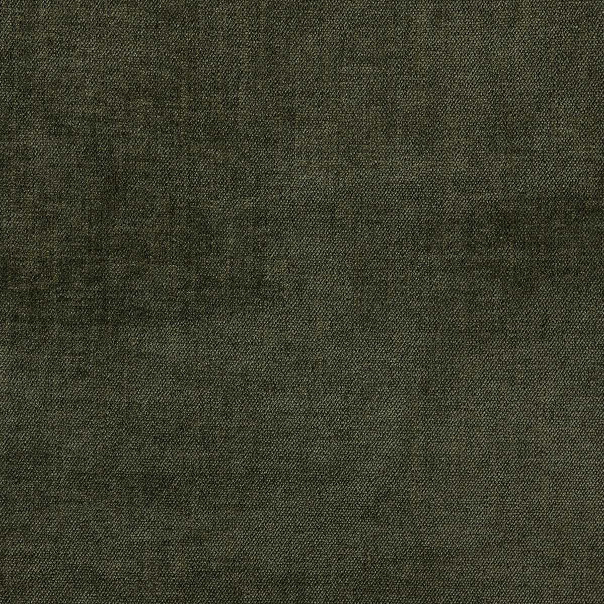 Greenhouse S6686 Jungle Fabric | Atlanta Fabrics