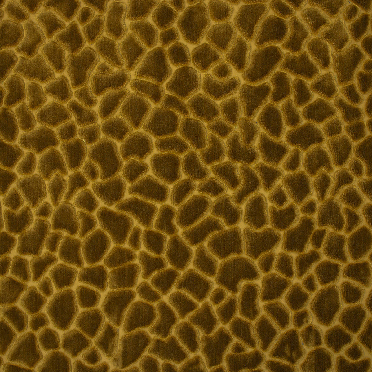 Greenhouse S6743 Gold Fabric | Atlanta Fabrics