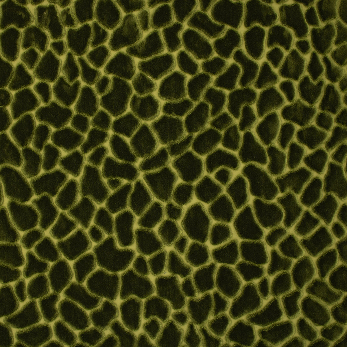 Greenhouse S6756 Forest Fabric | Atlanta Fabrics