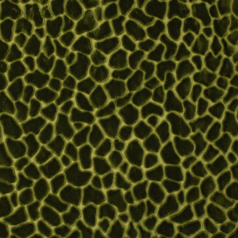 Greenhouse S6756 Forest Fabric | Atlanta Fabrics