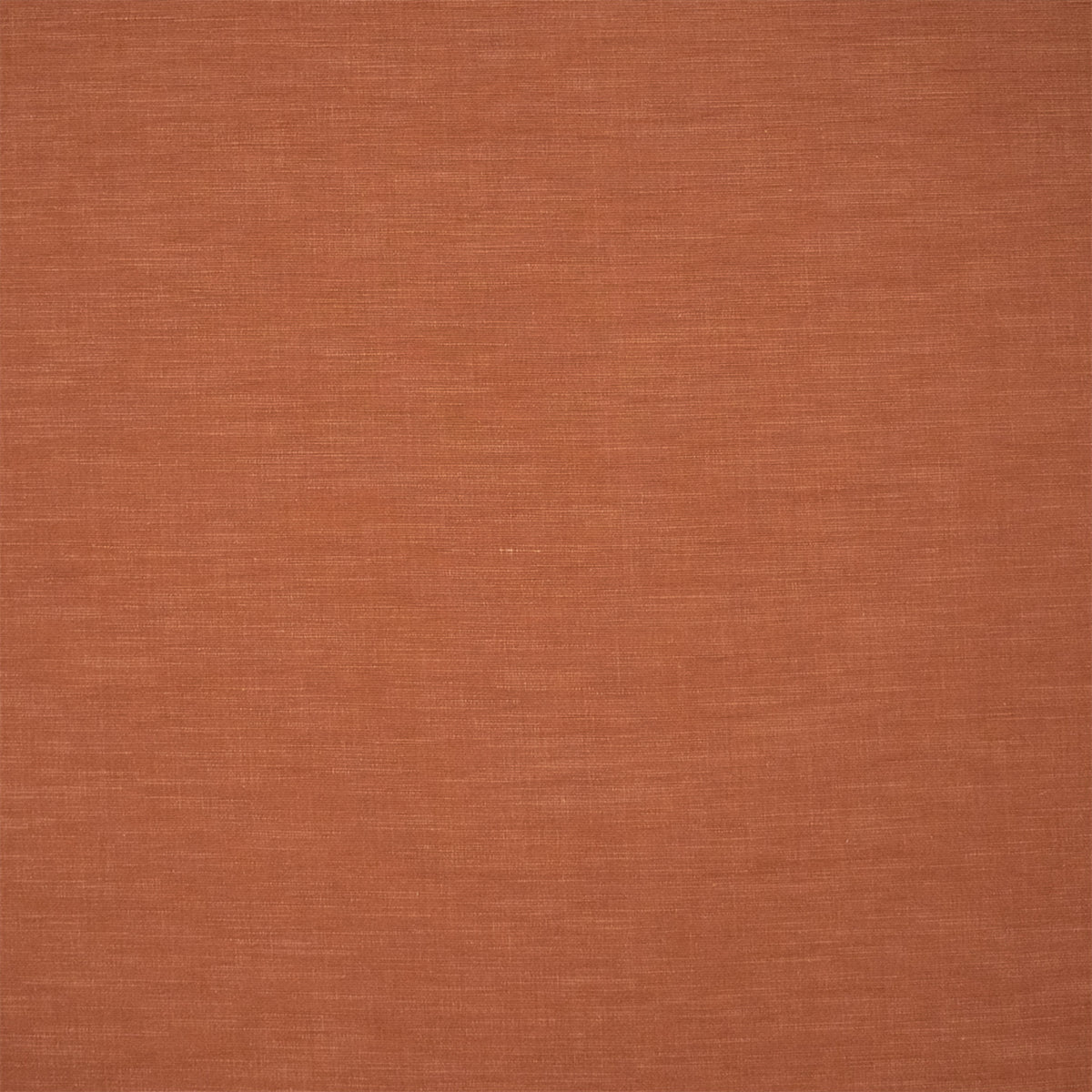 S7206 Adobe