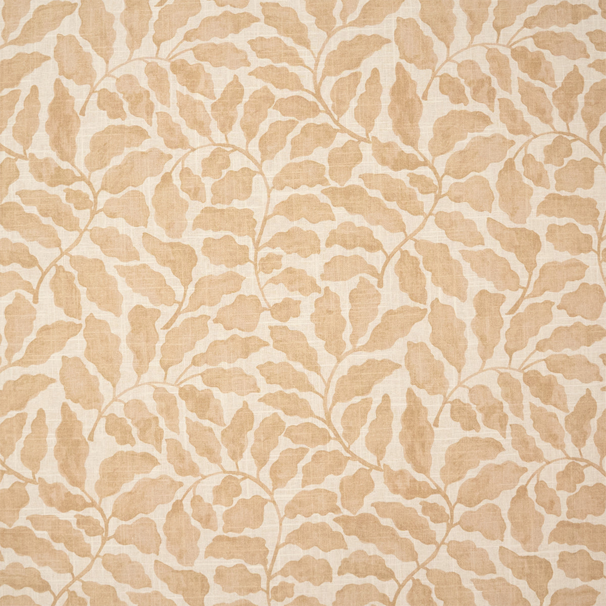 S7493 Tearose
