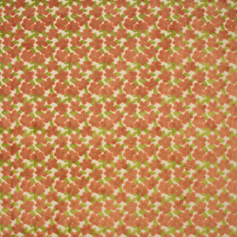 S7505 Coral