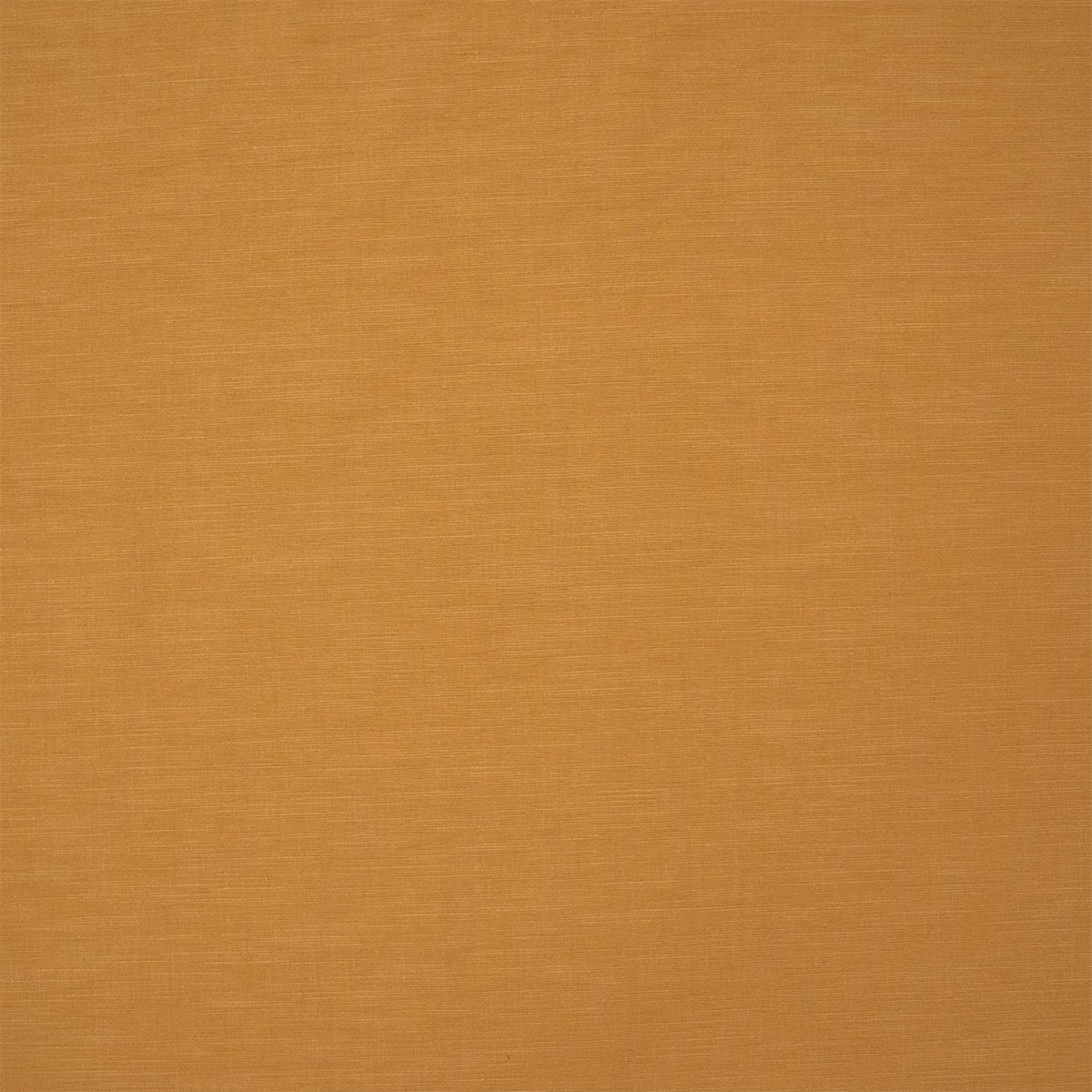 S7513 Turmeric