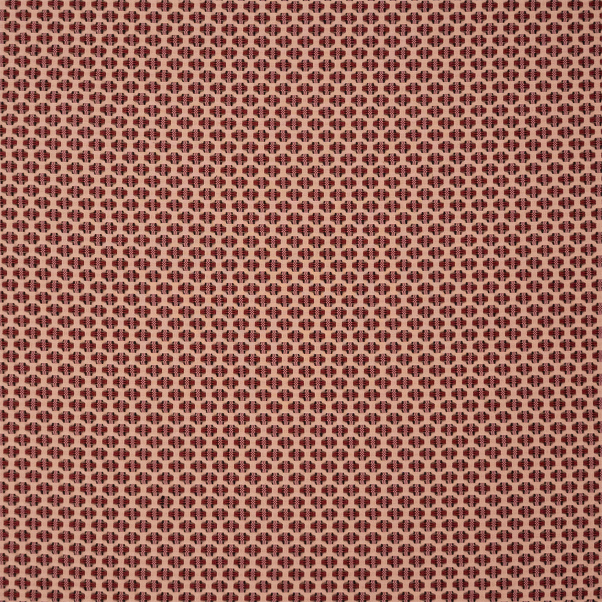 S7522 Berry