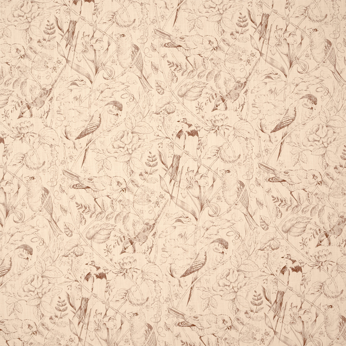 S7526 Ganache