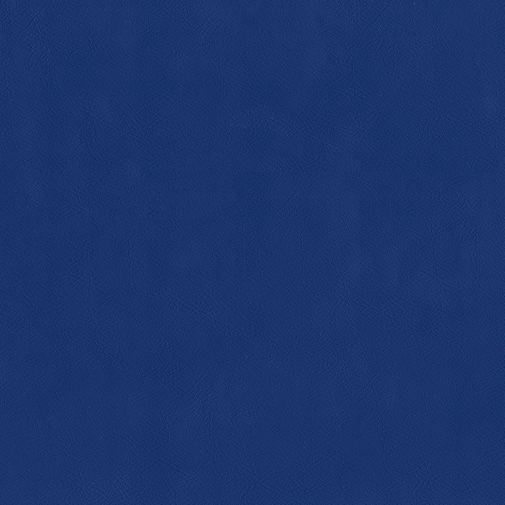 MagFabrics SENTINEL CADET  | Atlanta Fabrics
