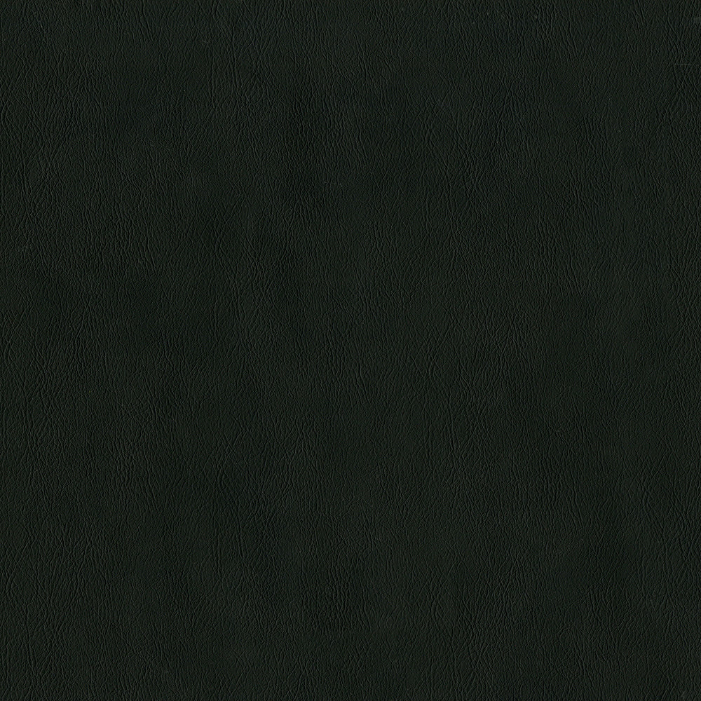 MagFabrics SENTINEL NOIR  | Atlanta Fabrics