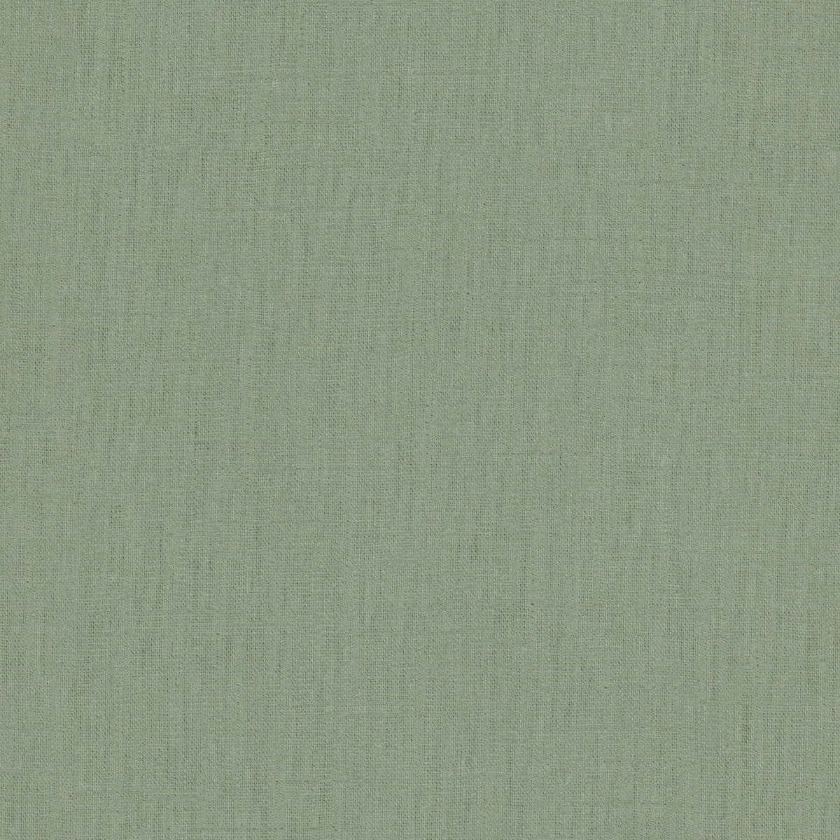 STOUT SHOUT 2 BALSAM Fabric | Atlanta Fabrics