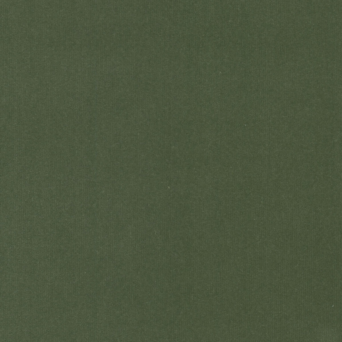 STOUT SPOCK 6 DILL Fabric | Atlanta Fabrics