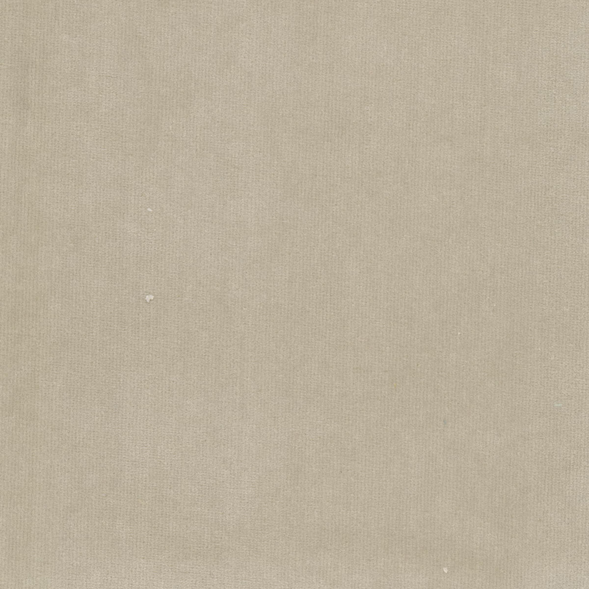 STOUT SPOCK 8 BIRCH Fabric | Atlanta Fabrics