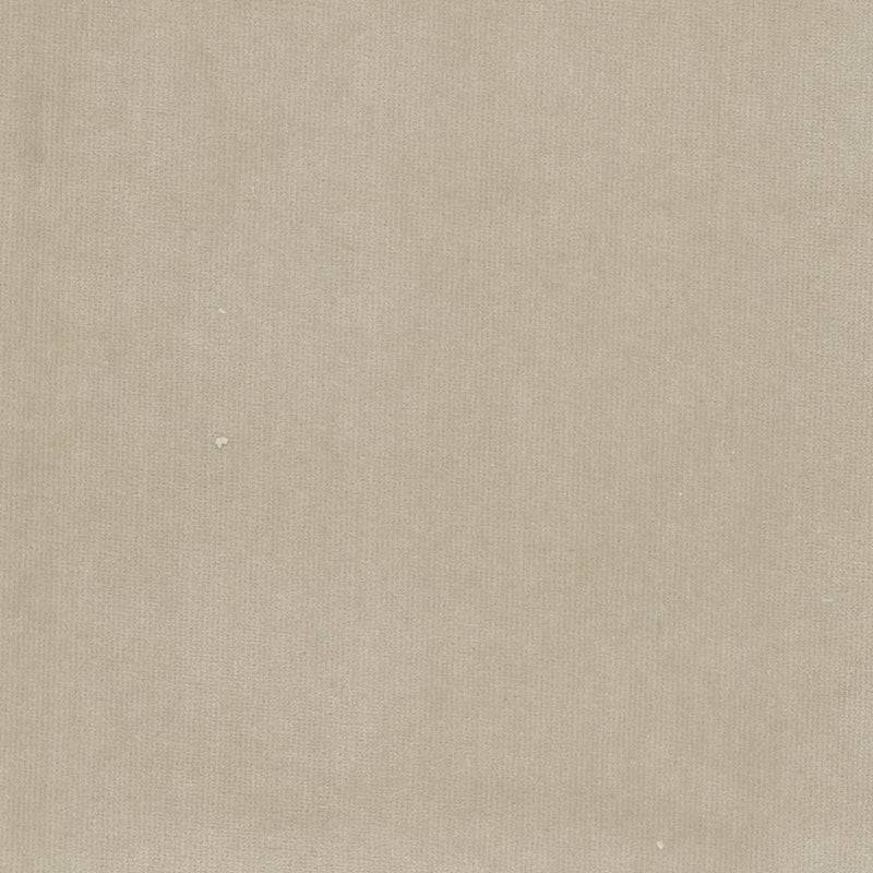 STOUT SPOCK 8 BIRCH Fabric | Atlanta Fabrics