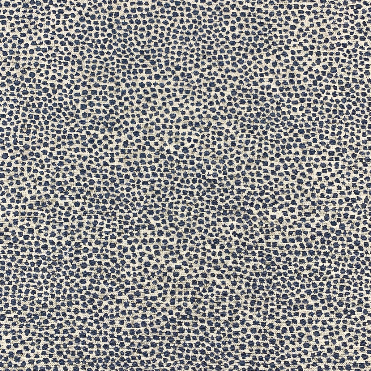 SPOT DENIM