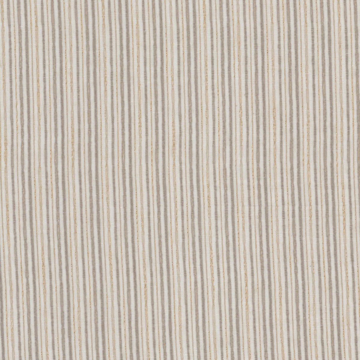 SQUIRE 1 DRIFTWOOD