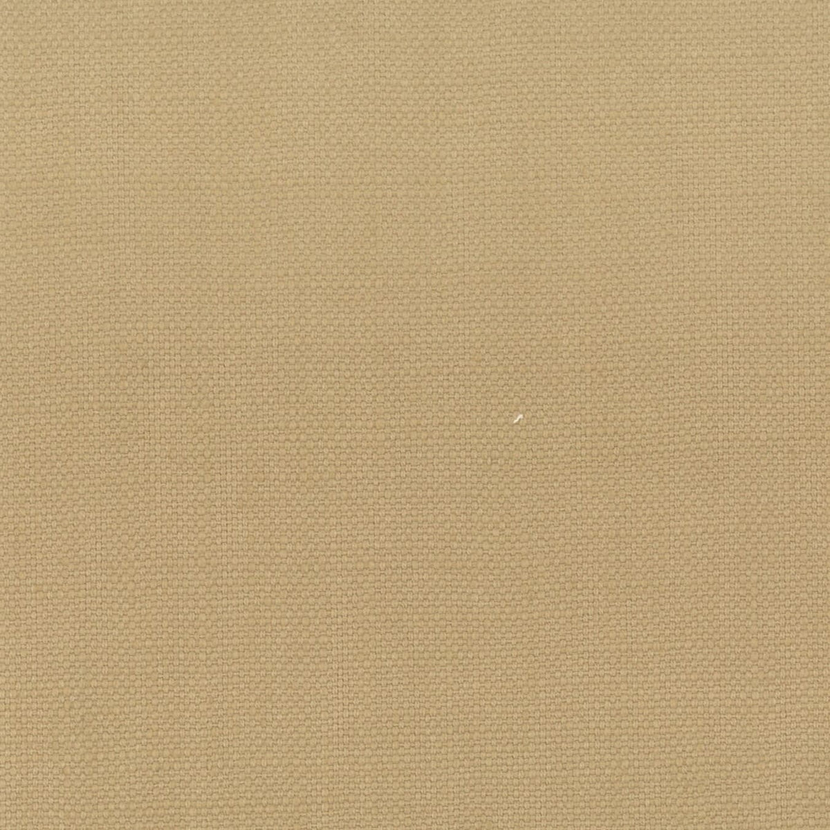 STANFORD 23 RAFFIA