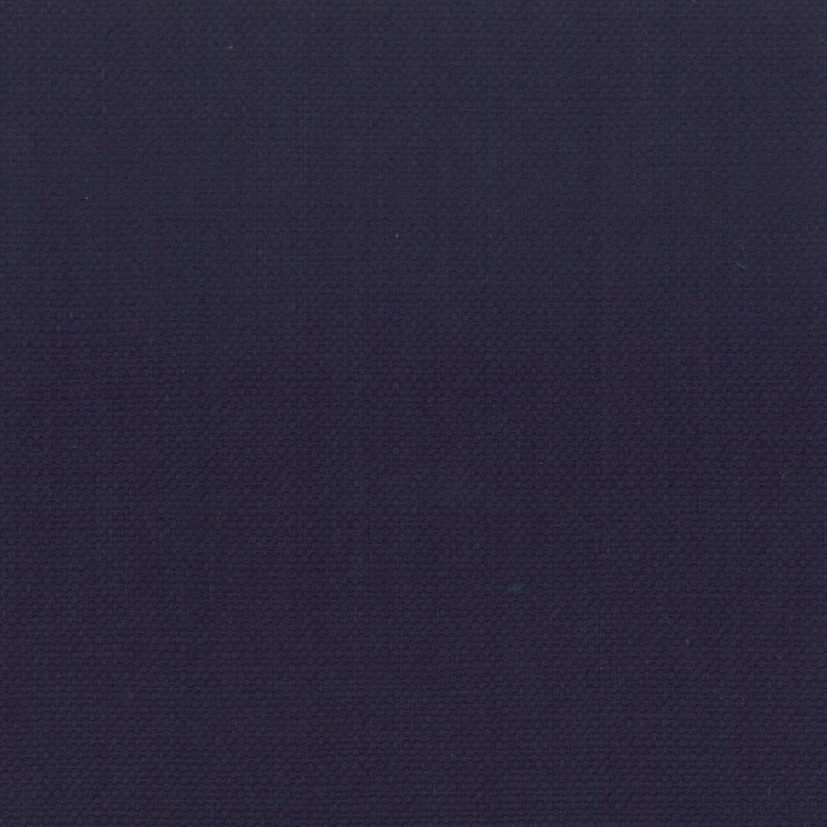 STANFORD 31 INDIGO