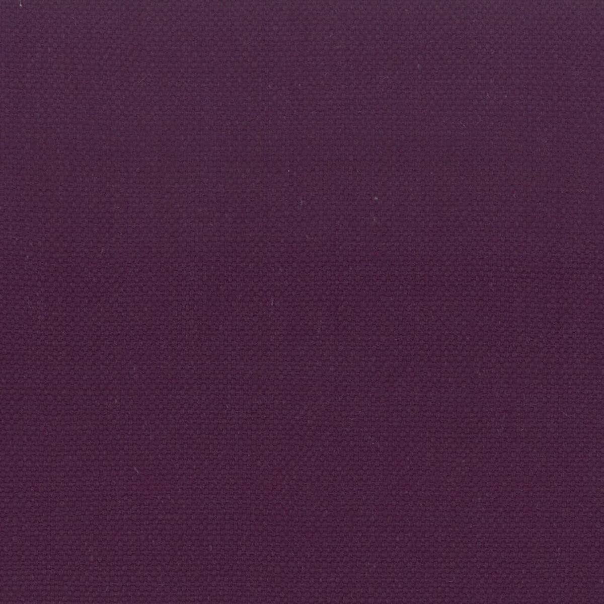 STANFORD 37 AMETHYST