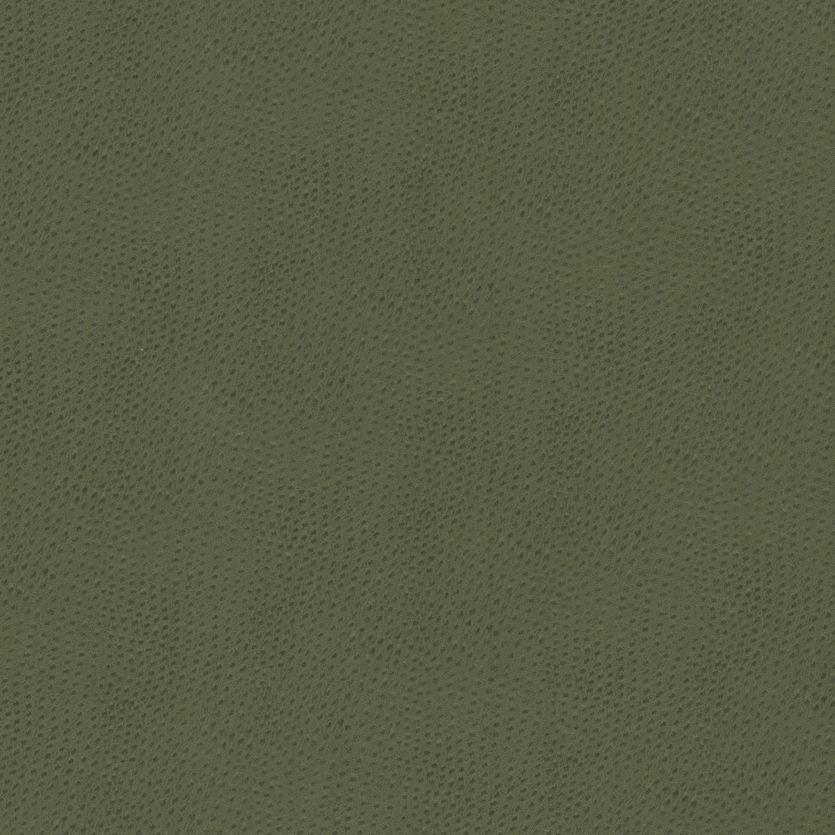 STOUT STEEPLECHASE 2 DILL Fabric | Atlanta Fabrics