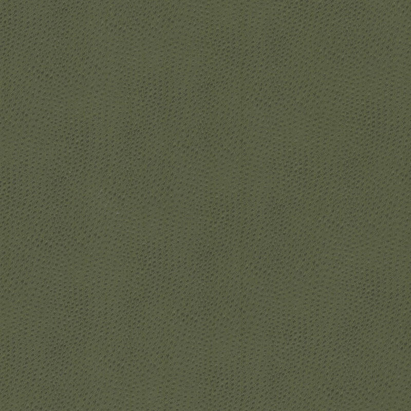 STOUT STEEPLECHASE 2 DILL Fabric | Atlanta Fabrics