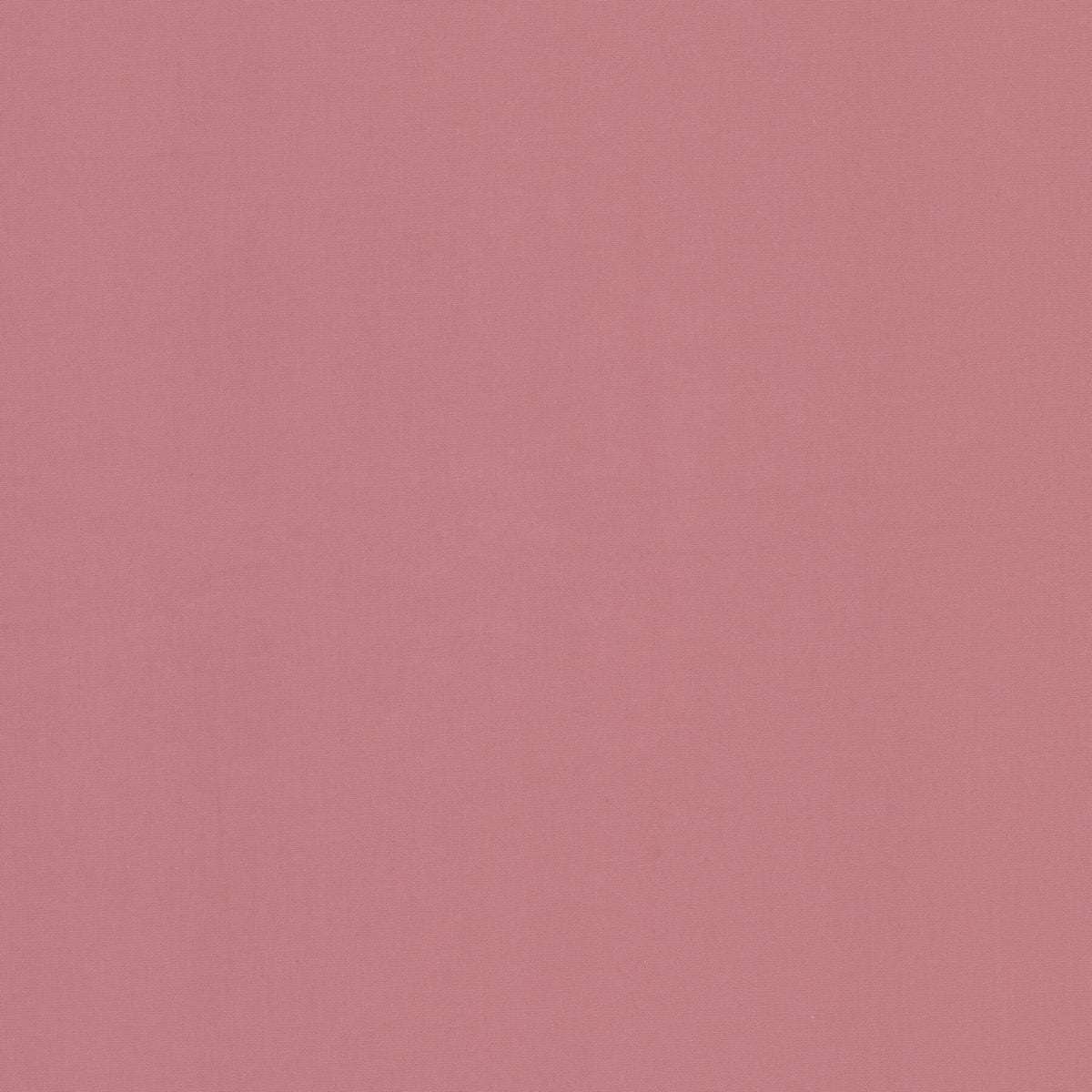STOUT SUDBURY 1 ROSEBUD Fabric | Atlanta Fabrics