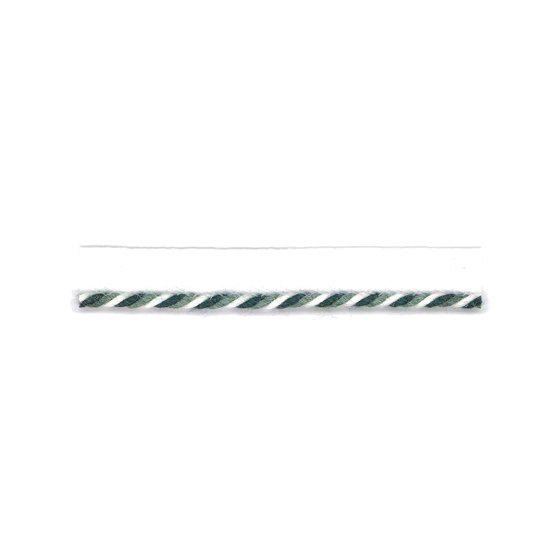 STOUT SWIRL LIP CORD 3 LAGOON Trim | Atlanta Fabrics