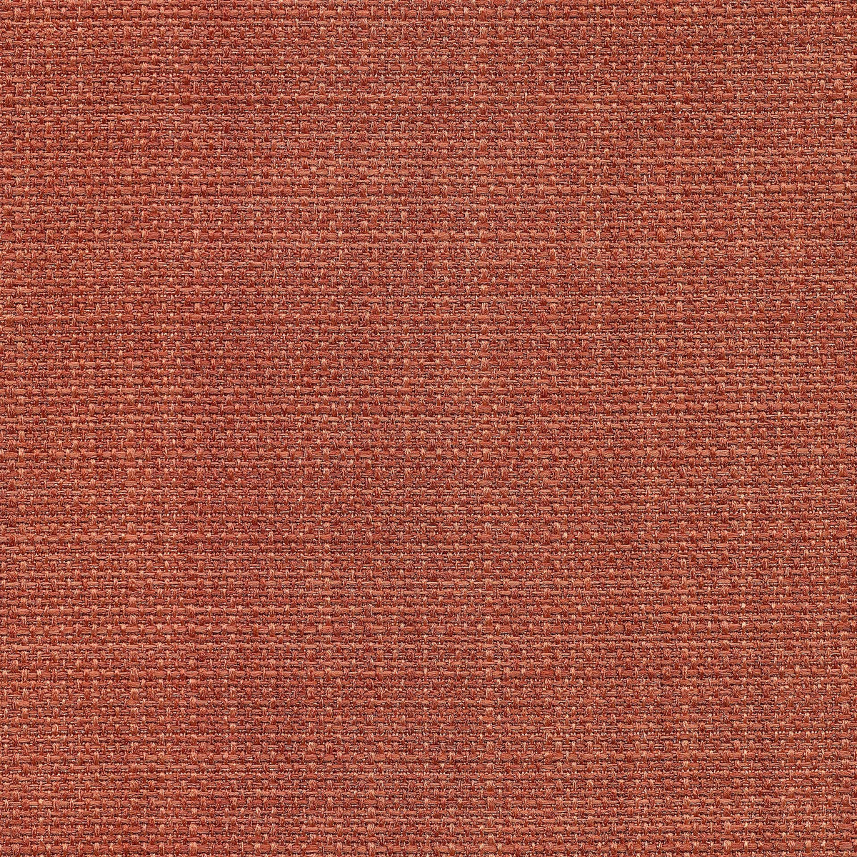 Saint Tropez / Cameo