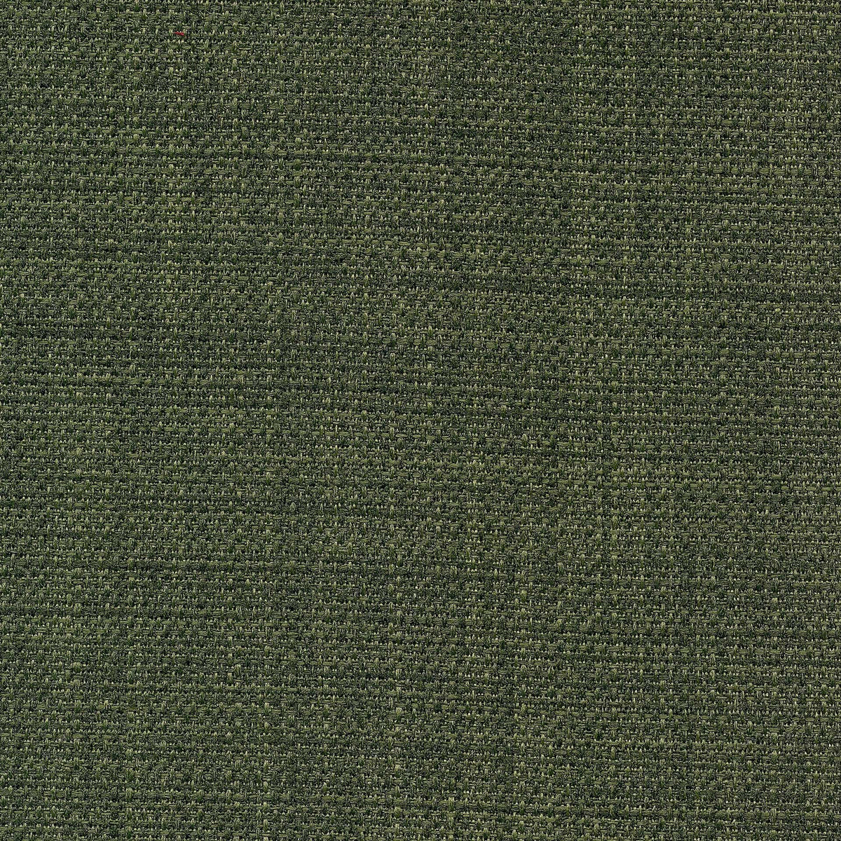 Saint Tropez / Cilantro