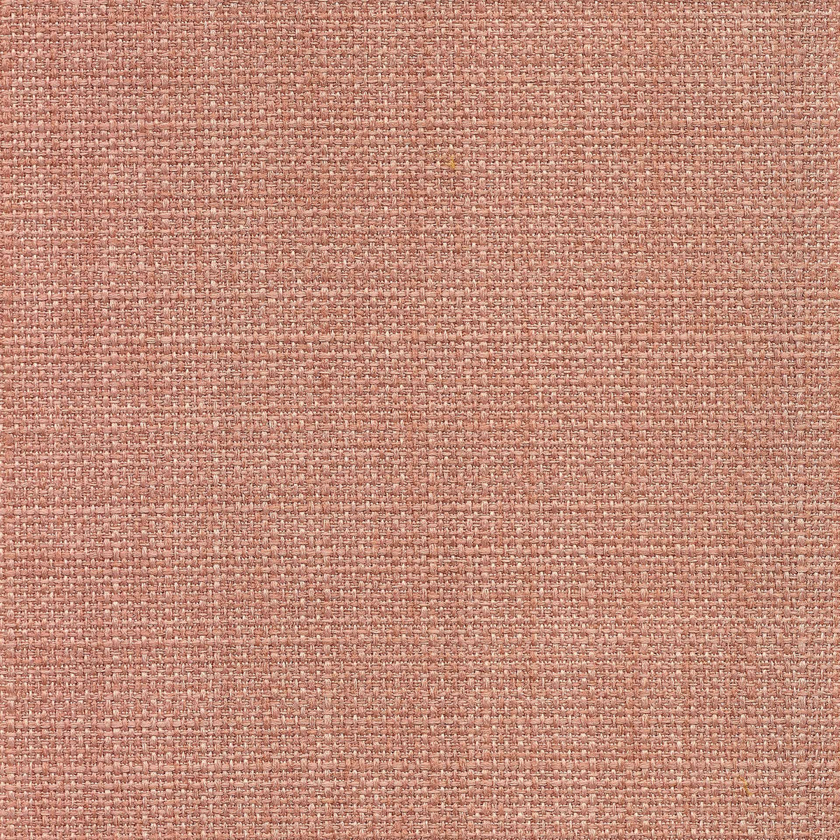 Saint Tropez / Conch