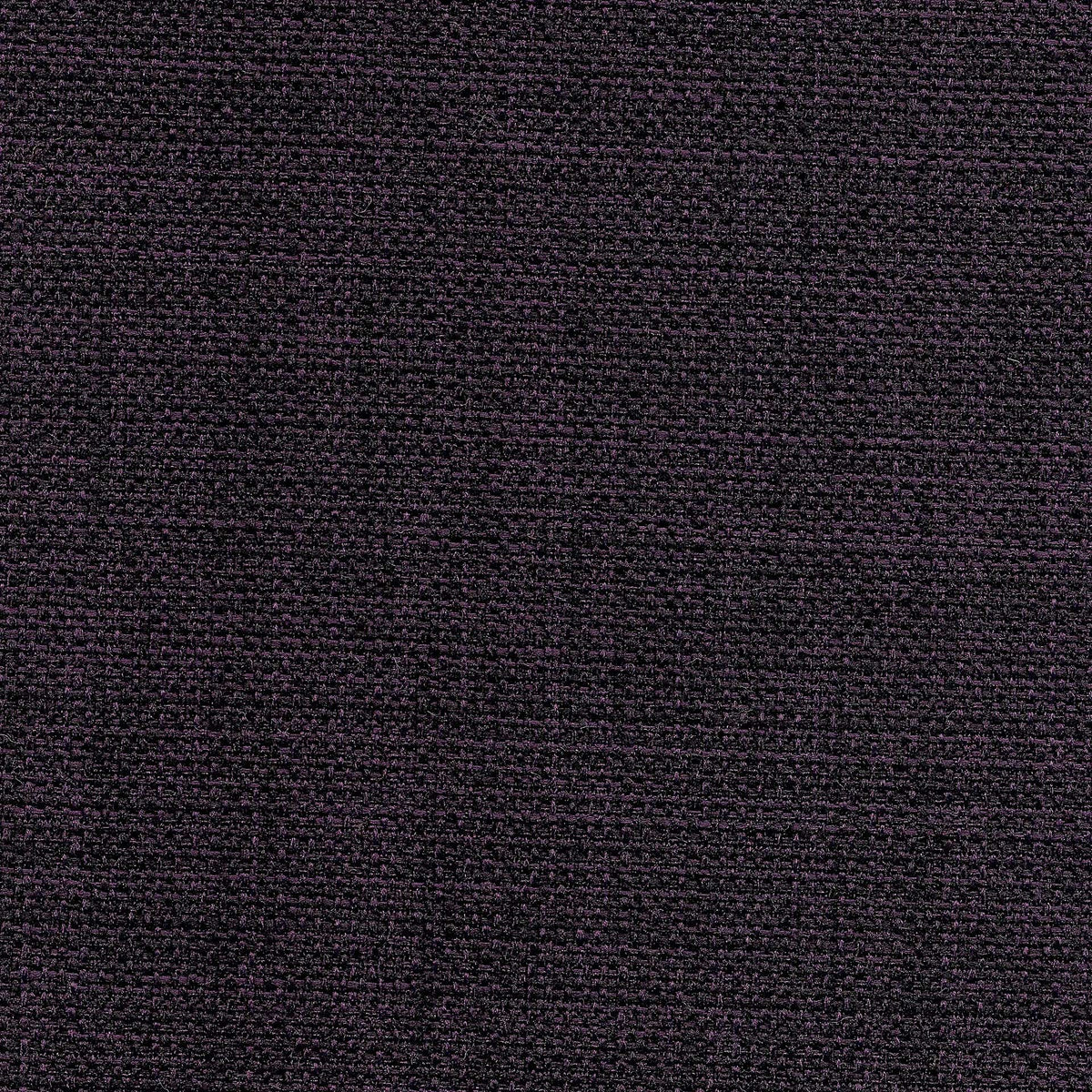 Saint Tropez / Eggplant