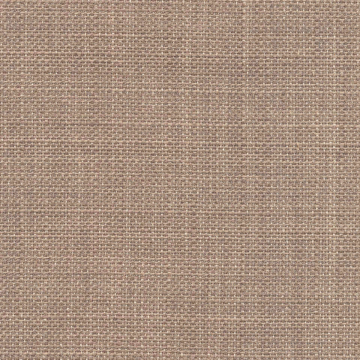 Saint Tropez / Hazelnut