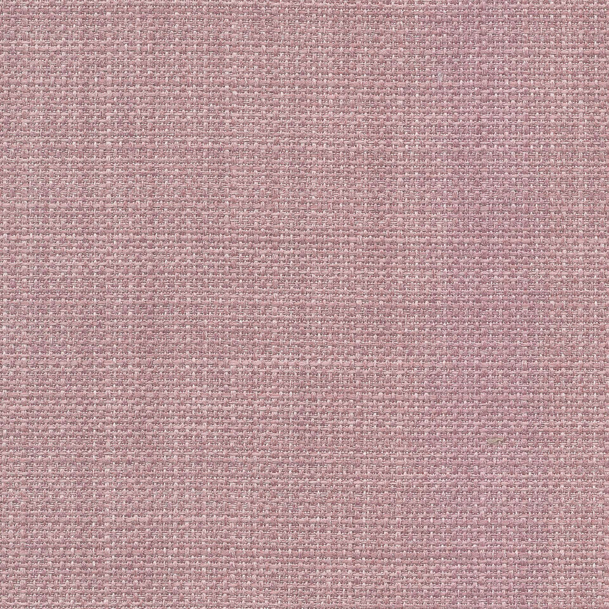 Saint Tropez / Heather