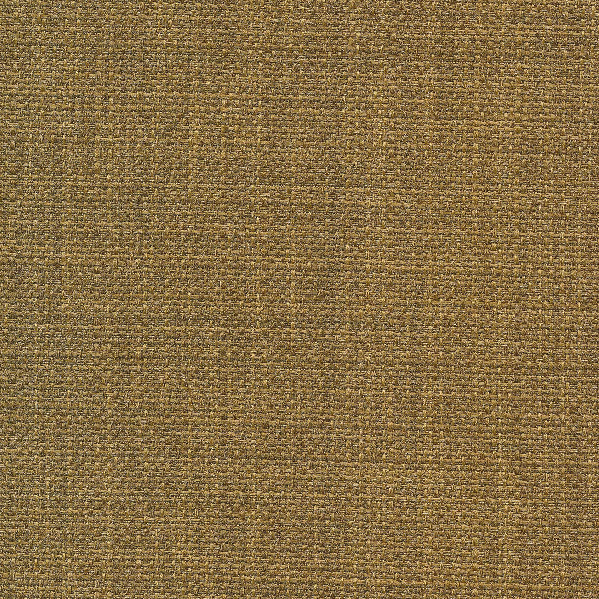 Saint Tropez / Olive