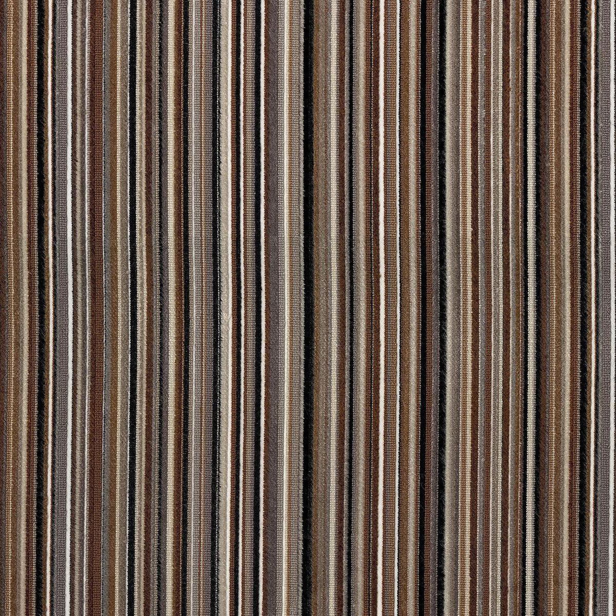 Savoy Stripe / Cappuccino