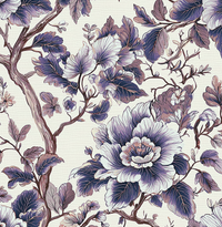 Hedwig Purple