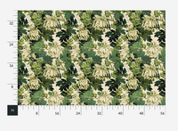Bonneau Fern