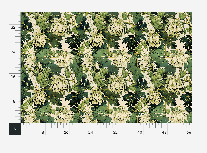 Bonneau Fern