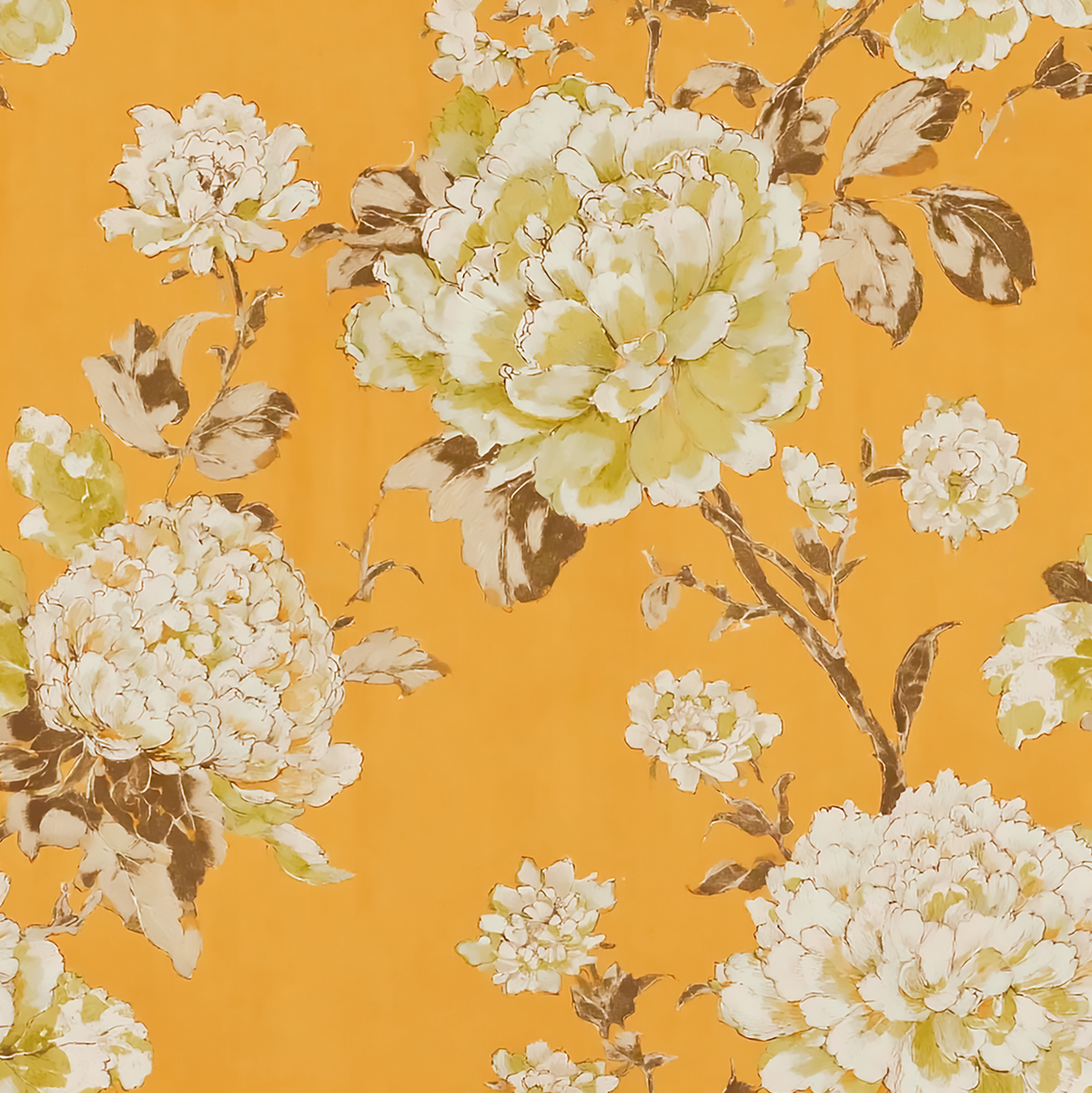 Lantern Vine Goldenrod