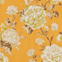 Lantern Vine Goldenrod